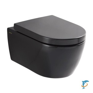 Унитаз подвесной RIMFREE SSWW CT2038 BLACK  (CT2038 Black)