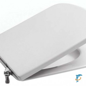 Крышка-сиденье Roca Dama Senso ZRU9000040  (ZRU9000040)