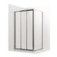 Душевое ограждение Ambassador Forsa 17021101NX-70NX (100х70х195) прямоугольник, хром, стекло прозрачное, раздвижная  (17021101NX-70NX)