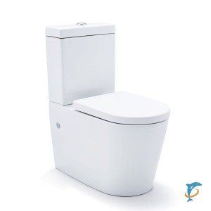 Унитаз напольный SSWW CT2046  (CT2046)