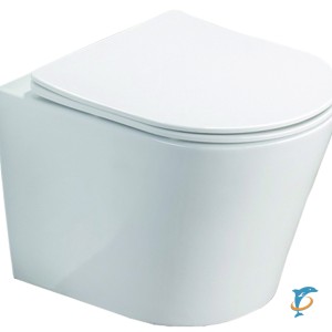 Унитаз подвесной Azario Teramo 480х365х360 безободковый в комплекте с сидением микролифт, белый (AZ-0053 SP)  (AZ-0053 SP)