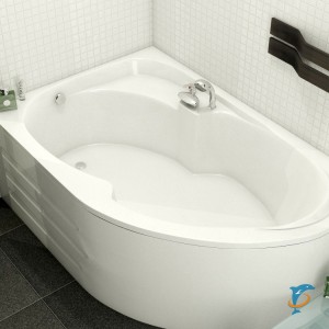 Акриловая ванна Relisan Sofi R 160x100  (Гл000023832)