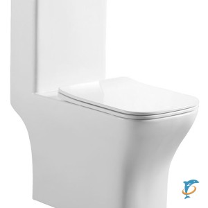 Унитаз моноблок Azario Lodi 665x350x750 напольный, горизонтальный слив, сиденье дюропласт микролифт (AZ-8617) (AZ-8617)