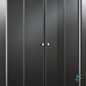 Душевая дверь в нишу Cezares ANIMA-W-BF-2-170-C-Cr (ANIMA-W-BF-2-170-C-Cr)