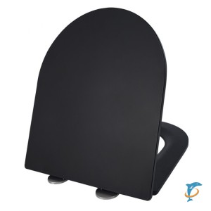 Крышка-сиденье для унитаза ESBANO AZALEA/CLAVEL черный матовый  (ZAESUPAZALCLAVBM0660)
