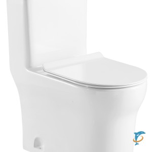 Унитаз-моноблок AZARIO SINTO 720х390х765 напольный в комплекте с сиденьем дюропласт микролифт, белый (AZ-1098)  (AZ-1098)