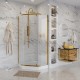 Душевое ограждение Niagara NG-6434-08 GOLD (100х100х190)  (NG-6434-08GOLD)