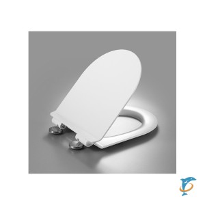 Крышка-сиденье для унитаза ESBANO GARCIA белый матовый (ZAESUPGARCWMUF147)