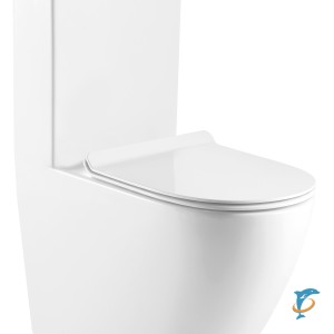 Унитаз-моноблок AZARIO MORANO 680x370х830 напольный безободковый в комплекте со смывным механизмом Geberit и сиденьем дюропласт микролифт (AZ-1001-G)  (AZ-1217 + AZ-1216)