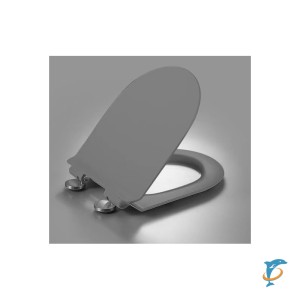 Крышка-сиденье для унитаза ESBANO GARCIA серый матовый (ZAESUPGARCGM3008)