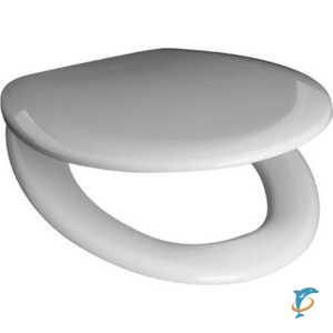 Крышка-сиденье для унитаза Roca MATEO микролифт, дюропласт Z.RU93.0.282.2  (Z.RU93.0.282.2)