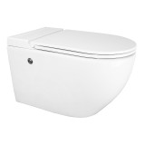 Унитаз импульсный Azario 360х570х375 подвесной, полукруглый, быстросъемное сиденье микролифт, монтажная рама в комплекте (AZ-102C) — 