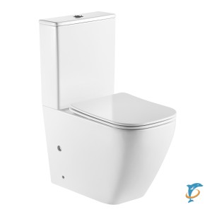Унитаз напольный Azario LEVANTO 620x380x830 безободковый в комплекте с бачком и сиденьем дюропласт микролифт (AZ-1228A) (AZ-1228A)