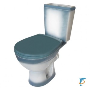 Унитаз-компакт Rosa Cоло зелёный декор (Cоло зелёный декор)