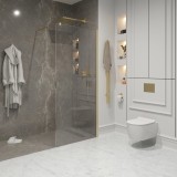 Душевая перегородка Niagara NG-643-10 GOLD (100x195) — 