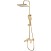 Душевая система HAIBA HB24575-5, тропический душ и 3-функц.лейка, латунь, золото