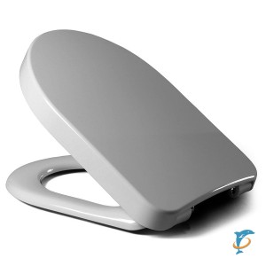 Крышка-сиденье для унитаза Toskana дюропласт микролифт  (528565)