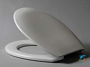 Крышка-сиденье для унитаза Селект дюропласт  (Селект 516203)