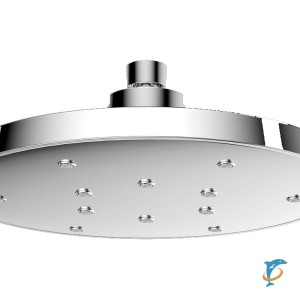 Душевая лейка KAISER стационарная SH-381 (SH-381)