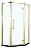 Душевое ограждение Azario ONTARIO 1000х1000х2000 без поддона, прозрачное стекло 8 мм, цвет профиля золото (AZ-NBB3231 1000 GOLD) — 
