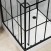Душевая кабина Niagara Standart ST100/15QL/KL/BKT (100х100х225) низкий поддон(15см),черный,стекло прозрачное