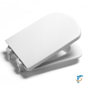 Крышка-сиденье Roca Dama Senso 801511004 (801511004)