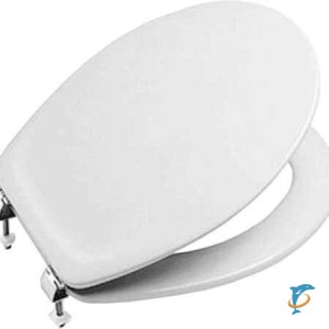 Крышка-сиденье Roca Victoria ZRU8013920 с микролифтом  (ZRU8013920)
