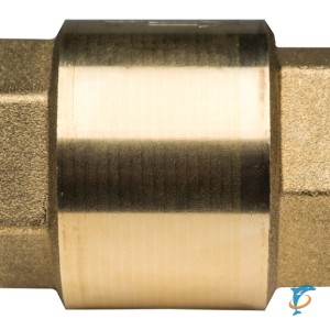 Stout 1" Клапан обратный пружинный муфтовый с пластиковым седлом  (SVC-0012-000025)