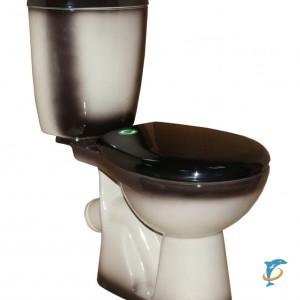 Унитаз - компакт Rosa Лира декор чёрный  (Лира (чёрный))