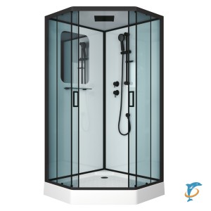 Душевая кабина NG-6901-01D BLACK (900х900х2200) низкий поддон (16 см), стекло тонированное  (69010134DBLACK)