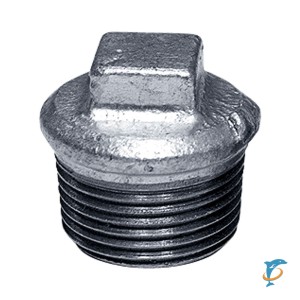 Заглушка чугунная оцинкованная EE 2 наружная резьба  (290 2 EE)