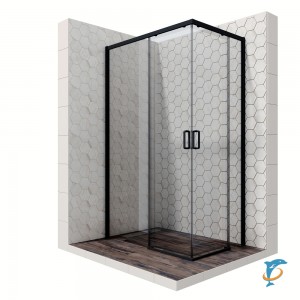 Душевое ограждение Ambassador Queen 11011205LBlack (1200x800x2000)  (11011205LBlack)