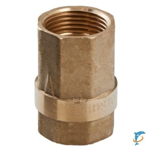 Клапан обратный ENOLGAS EUROSTOP 2 1/2" H.161.10 (H.161.10)