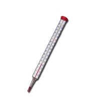 Термометр жидкий Watts T200V (120&quot;С) — 