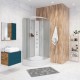 Душевая кабина Niagara NG-33084-14RBKG (1000х800х2000)  (330844RBKG)