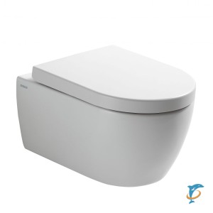 Унитаз подвесной RIMFREE SSWW CT2038 (CT2038)