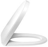 Крышка-сиденье Jacob Delafon Odeon Up E70011 (эргономичная с микролифтом) — 