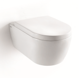 Унитаз подвесной SSWW CT2019 &mdash; 