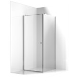 Душевое ограждение Ambassador Elysium 111011110CX-100CX (900х1000х2000) — 