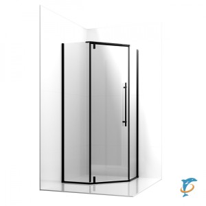 Душевое ограждение Ambassador Ritz 112011202 (900x900x2000)  (112011202)