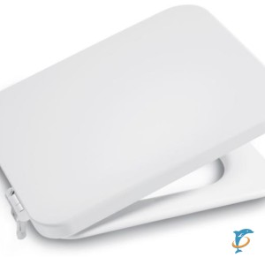 Крышка-сиденье Roca Element 801572004 с микролифтом  (801572004)
