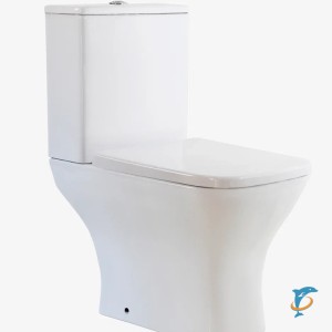 Напольный унитаз с бачком Taliente Elegante EL35055 белый , безободковый с крышкой микролифт (EL35055)