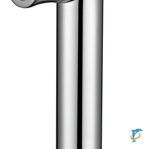 Гигиеническая лейка BS 060202 Cr  (BS 060202 Cr)